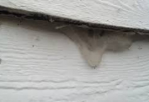 Lựa chọn keo xây dựng phù hợp với khí hậu của Việt Nam